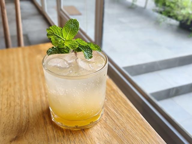 Sparkling Water + Lemon + Mint