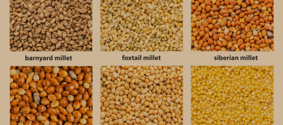 The Ancient Superfood Making a Modern Comeback